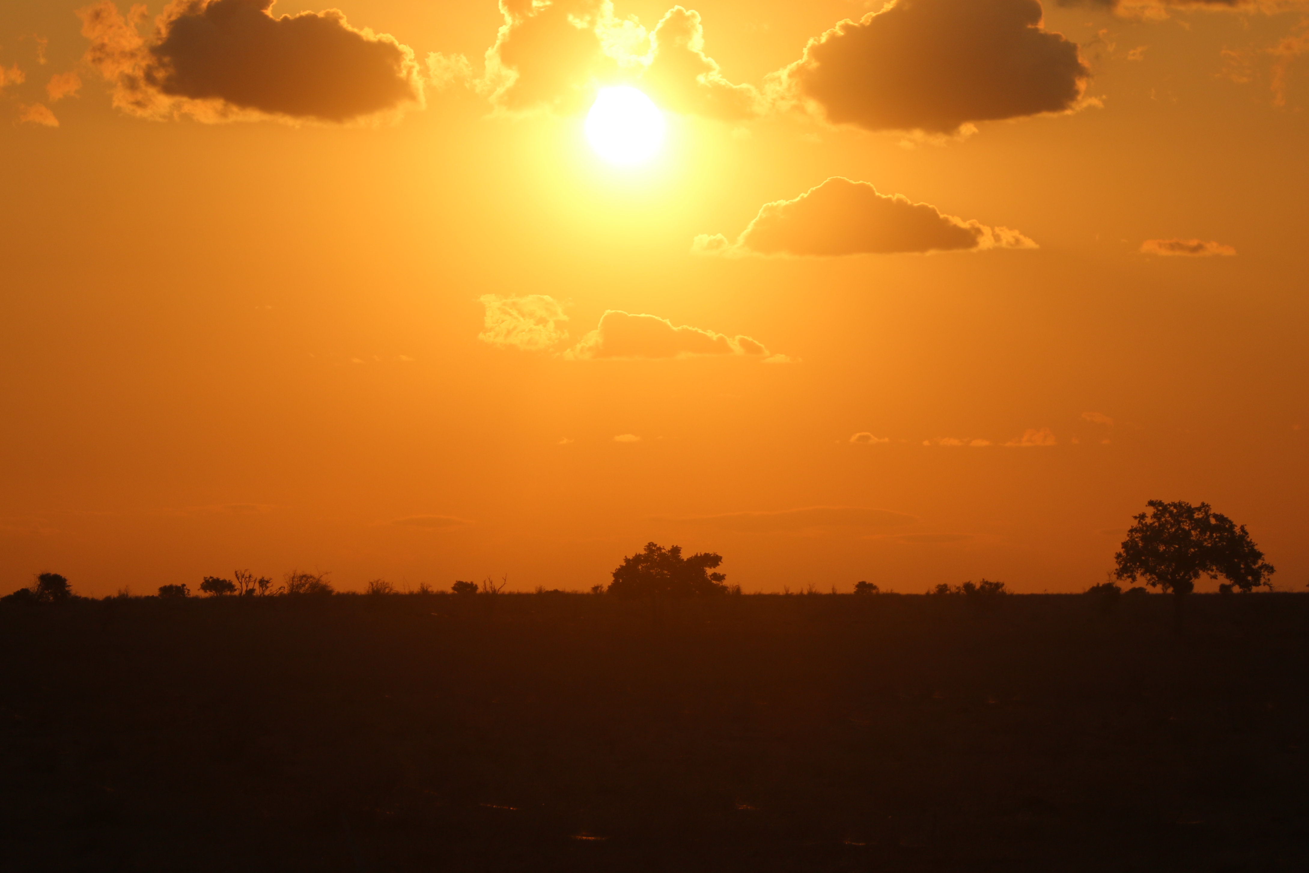 Safari da Watamu costa Kenya jeep tramonto savana